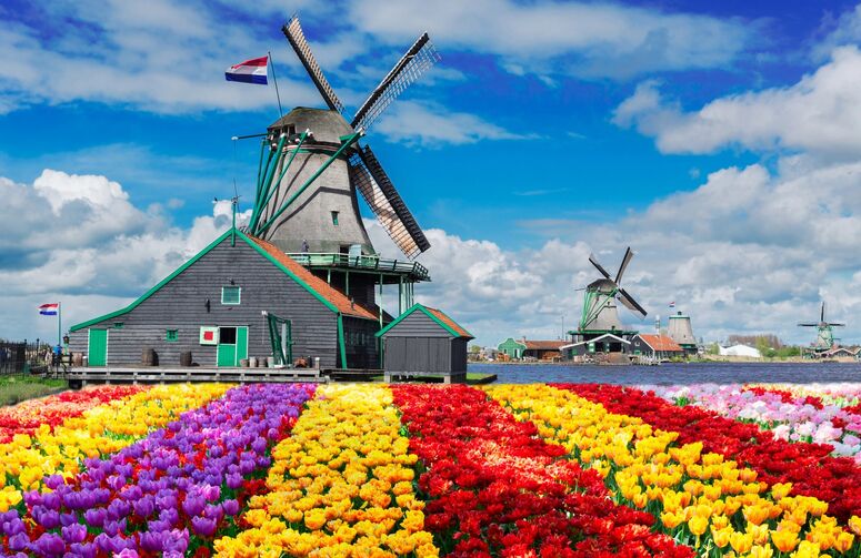 Elit Amsterdam Turu THY ile 3 Gece Ekstra Turlar Dahil Kasım Ara Tatil Dönemi