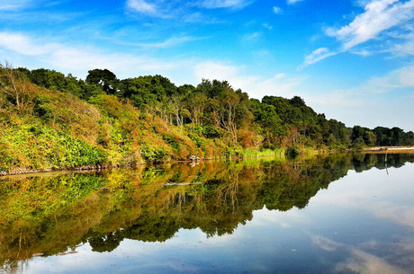 Edirne - İğneada Longoz Ormanları 
