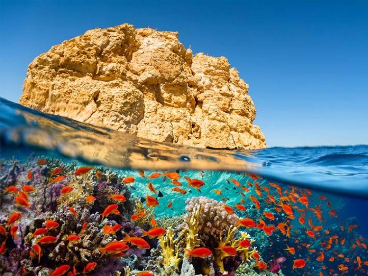 SHARM EL SHEİKH TURLARI