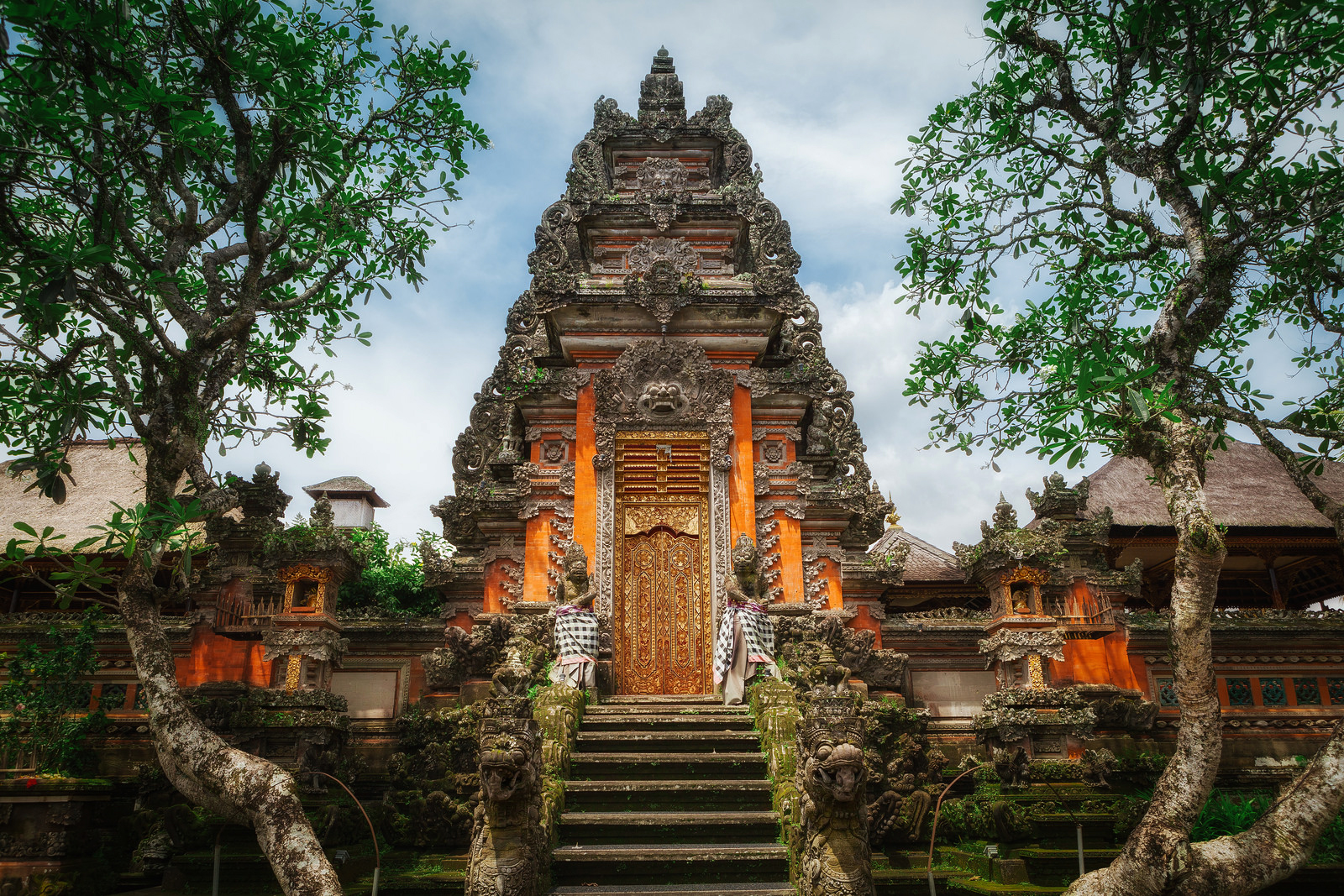 BALİ TURLARI