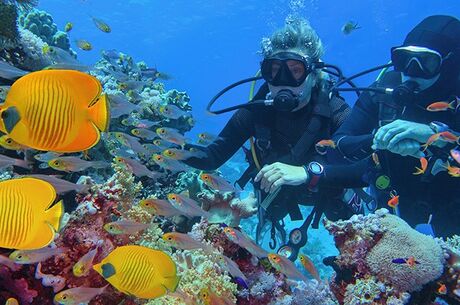 Baştanbaşa Mısır Turu Hurgada Kahire Sharm Ajet Havayolları İle 7 Gece 8 Gün 
