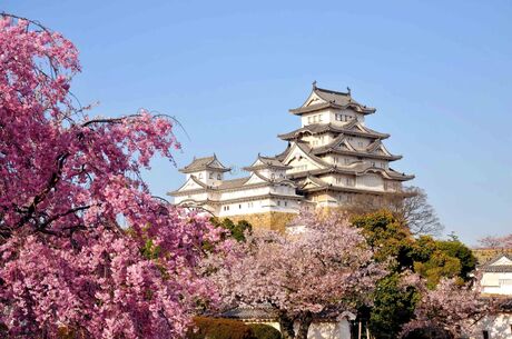 Japonya Kore Turu - Asiana Havayolları İle  11 Gece 12 Gün EJ001
