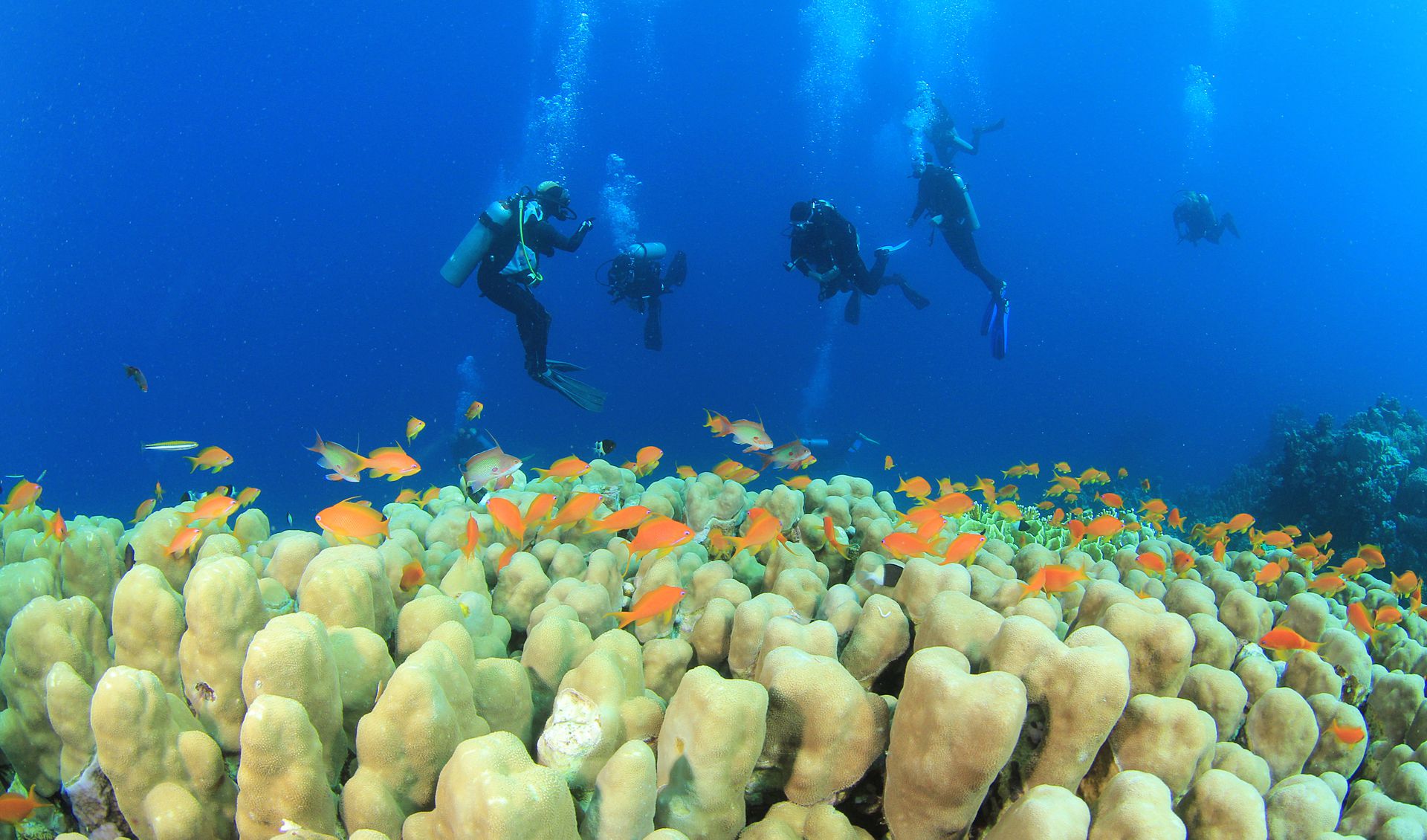 Sharm El Sheikh Turu Türk Havayolları ile 3 Gece Otelden Erken Çıkışlı