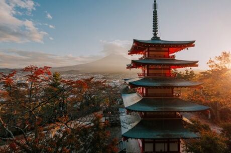 Japonya Kore Turu 2025 10 Gece – 12 Gün Asiana Hava Yolları ile Herşey Dahil