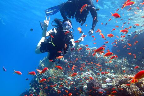 Baştanbaşa Mısır Turları Hurgada Kahire Sharm Ajet ile 7 Gece 8 Gün