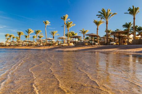Hurghada Mısır Turu Türk Havayolları ile 5 Gece Yılbaşı Özel Gala Yemeği Dahil
