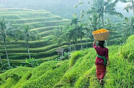 Rüya Ada Bali - Ubud Turu 5 Gece  Qatar Havayolları ile Kurban Bayramı Özel