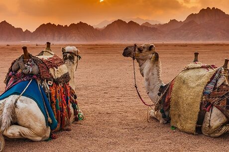 Sharm El Sheikh Turu Yılbaşı Özel Ajet Havayolları ile 5 Gece Her Şey Dahil Oteller