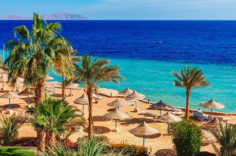 Sharm El Sheikh Turu Yılbaşı Özel Ajet Havayolları ile 6 Gece Her Şey Dahil 4 Yıldızlı Oteller
