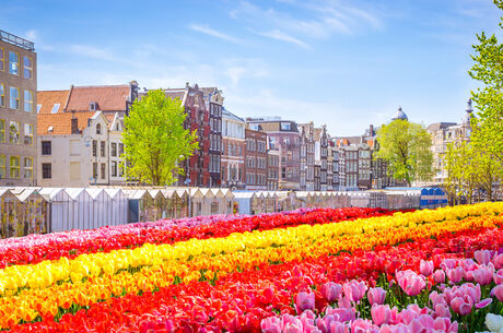Elegant Benelux & Alsace & Paris Turu Ajet Havayolları ile 7 Gece 8 Gün (BSL-AMS) FL001