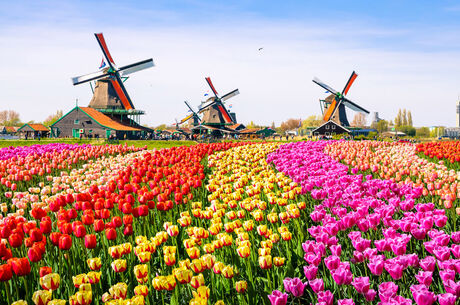 Elegant Benelux & Alsace & Paris Turu Ajet Havayolları ile 7 Gece 8 Gün (BSL-AMS) FL001