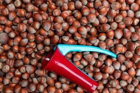 Doğu Karadeniz & Batum Turu | 4 Gece Otel Konaklamalı