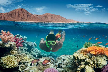 Promosyon Sharm El Sheikh Turu Ajet Havayolları ile 4 Gece Otelden Erken Çıkışlı