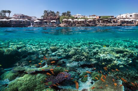 Sharm El Sheikh Turu Ajet Havayolları ile 5 Gece Her Şey Dahil 5 Yıldızlı Oteller