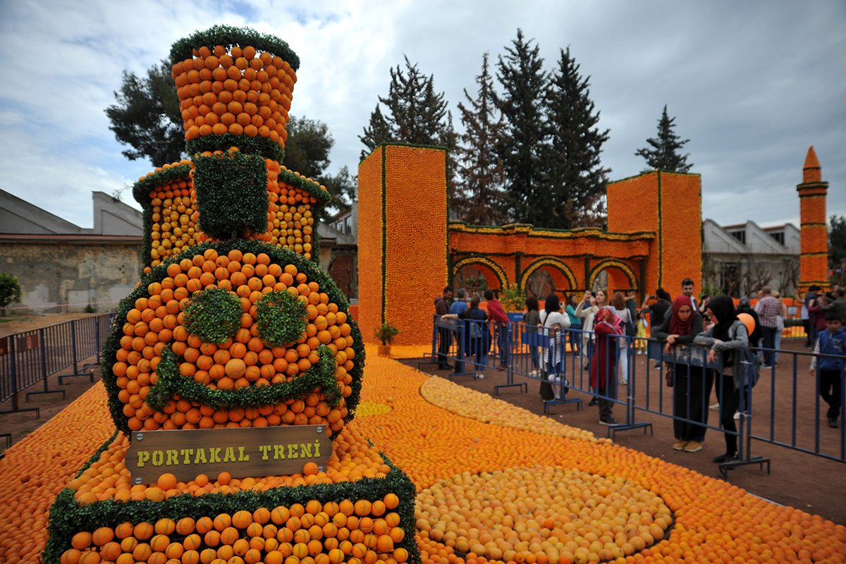 Festival Turları